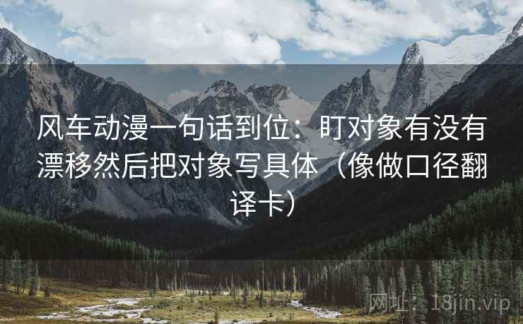 风车动漫一句话到位：盯对象有没有漂移然后把对象写具体（像做口径翻译卡）